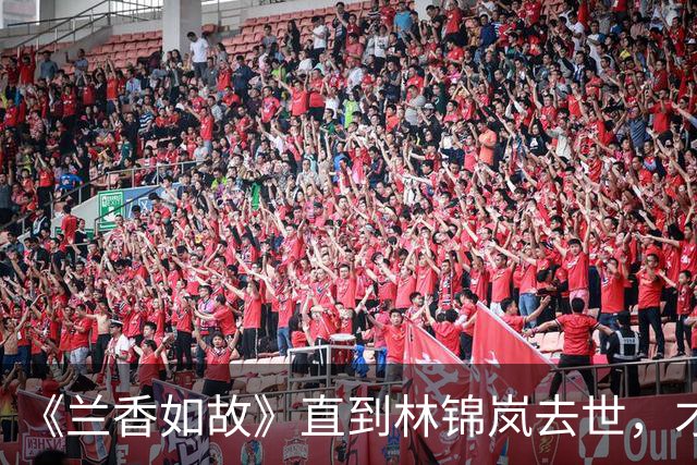 《兰香如故》直到林锦岚去世，才明白他的高光时刻，已经耗尽了余生