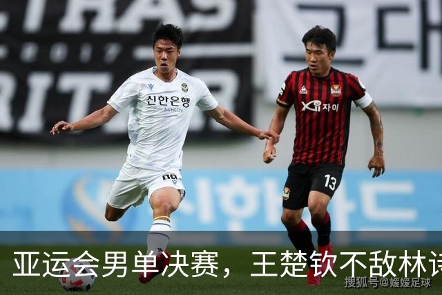 亚运会男单决赛，王楚钦不敌林诗栋，林诗栋拿下第3金