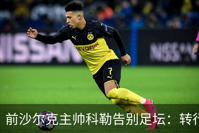 前沙尔克主帅科勒告别足坛：转行房产中介，对足球热情日渐消退
