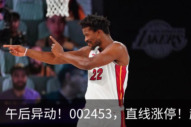 午后异动！002453，直线涨停！超24万手买单封板