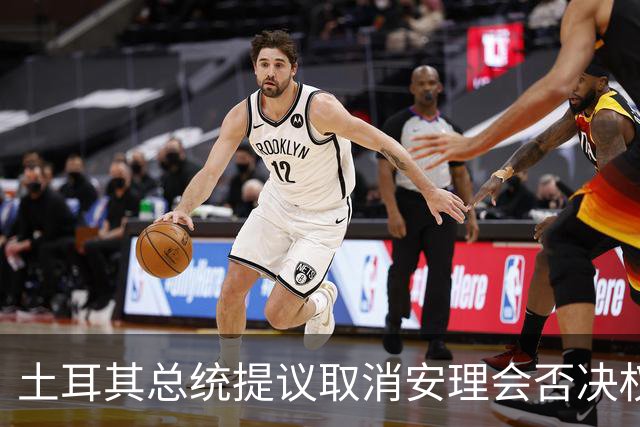 土耳其总统提议取消安理会否决权，被俄方“否决”
