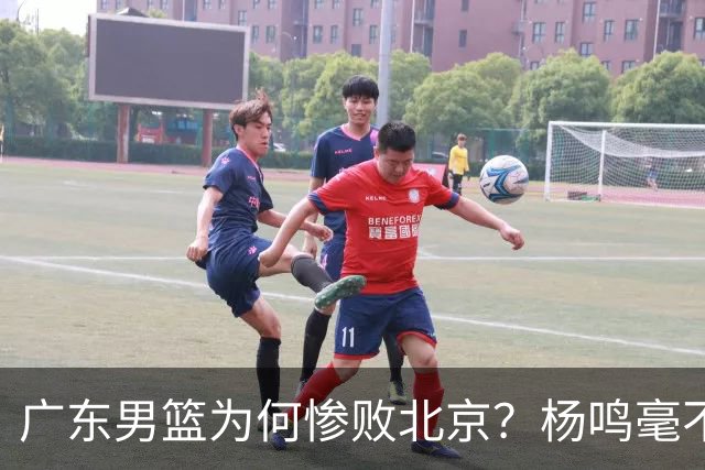 广东男篮为何惨败北京？杨鸣毫不留情一针见血！球迷怀念杜锋