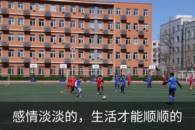 感情淡淡的，生活才能顺顺的