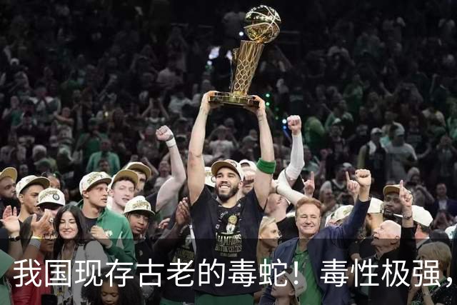 我国现存古老的毒蛇！毒性极强，全球范围内没有血清，也是最让人头疼的蛇，擅长绝食，遇到千万别碰！