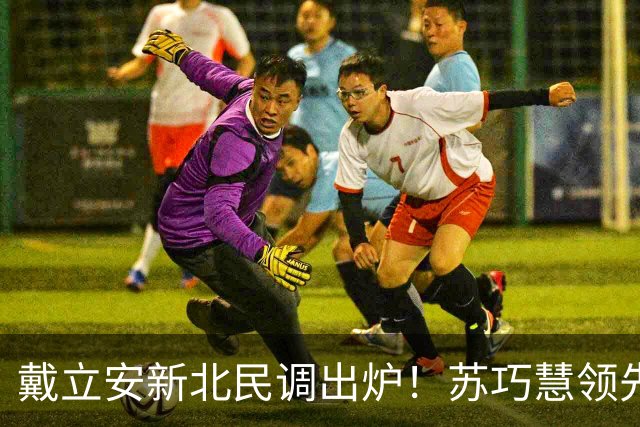 戴立安新北民调出炉！苏巧慧领先李四川13%，蓝营新北台北双告急？