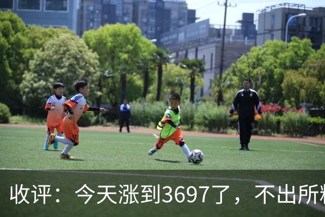 收评：今天涨到3697了，不出所料，明天周二可能这样走