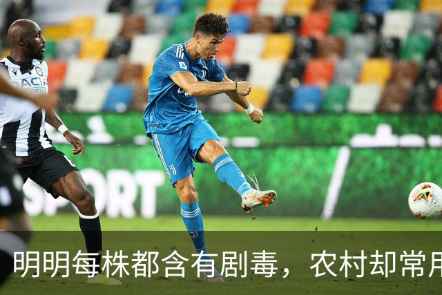 明明每株都含有剧毒，农村却常用来做腌菜，如今为何消失不见？