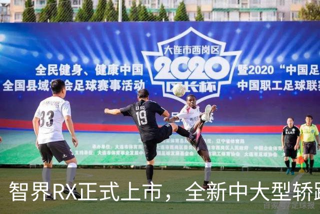智界RX正式上市，全新中大型轿跑SUV，外观很帅，377马力/594马力