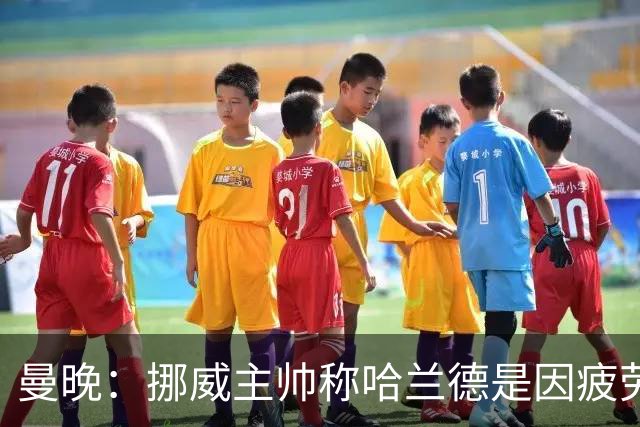 曼晚：挪威主帅称哈兰德是因疲劳被换下，伤情担忧缓解