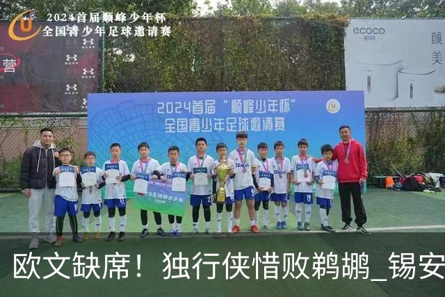 欧文缺席！独行侠惜败鹈鹕 锡安改打替补10分奎因9中1
