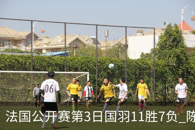 法国公开赛第3日国羽11胜7负 陈雨菲石宇奇进八强