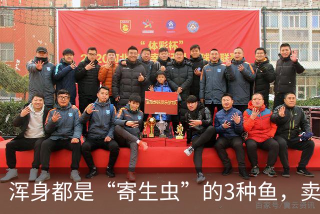 浑身都是“寄生虫”的3种鱼，卖鱼商贩都不敢吃，白送也千万别要