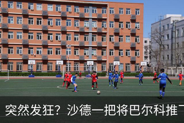 突然发狂？沙德一把将巴尔科推飞，裁判没出牌