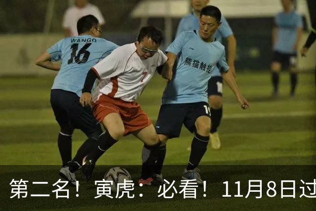 第二名！寅虎：必看！11月8日过后，8件大事齐齐降临！