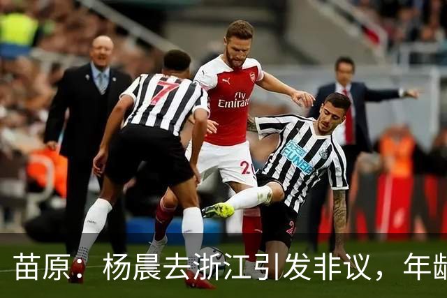 苗原：杨晨去浙江引发非议，年龄和工作经历不符合条件