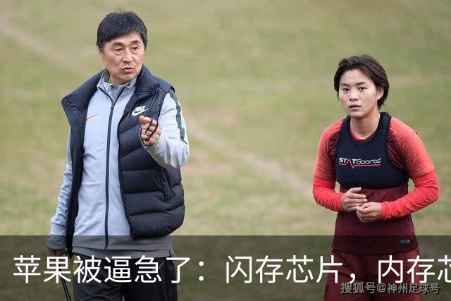 苹果被逼急了：闪存芯片，内存芯片，基带芯片，全部混用