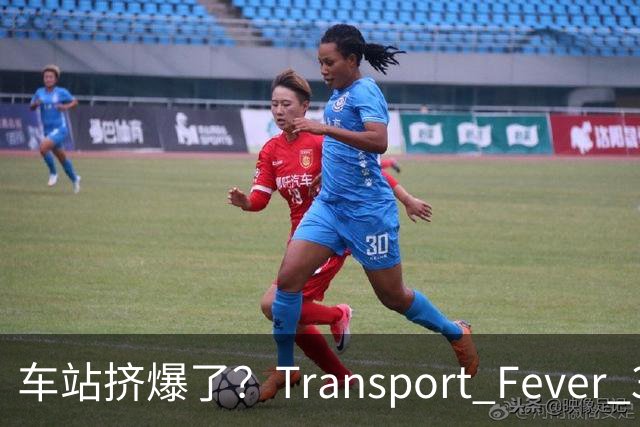 车站挤爆了？Transport Fever 3乘客会自己换站台