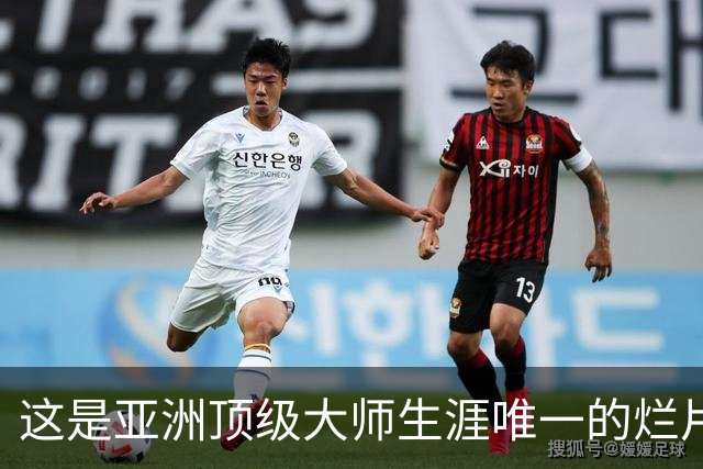这是亚洲顶级大师生涯唯一的烂片吗？