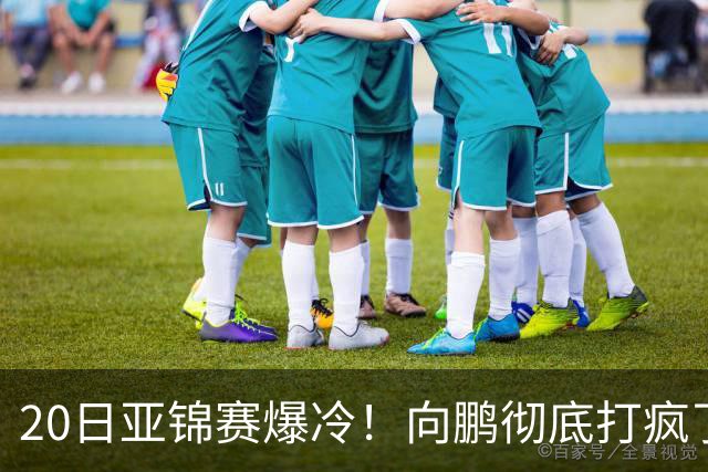 20日亚锦赛爆冷！向鹏彻底打疯了，李天阳制造惨案，国乒冲冠有望