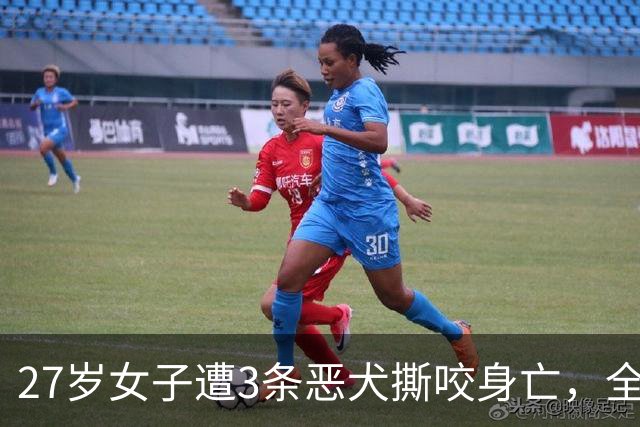 27岁女子遭3条恶犬撕咬身亡，全港大搜捕持续，流浪动物泛滥港岛